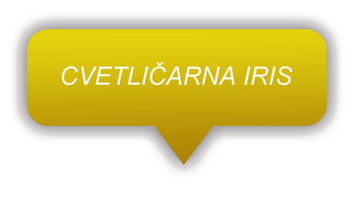 Cvetličarna Iris
