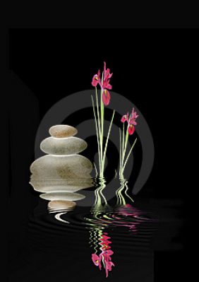zen-spa-stones-and-red-iris-flowers-thumb6909498.jpg
